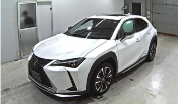 2019 LEXUS UX full